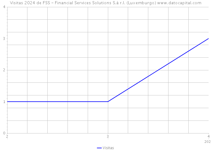 Visitas 2024 de FSS - Financial Services Solutions S.à r.l. (Luxemburgo) 