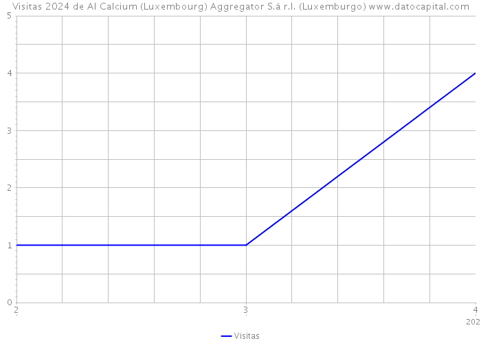 Visitas 2024 de AI Calcium (Luxembourg) Aggregator S.à r.l. (Luxemburgo) 