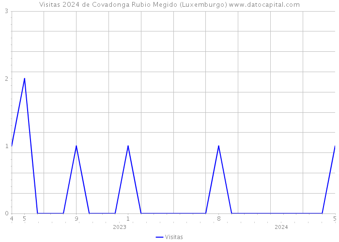 Visitas 2024 de Covadonga Rubio Megido (Luxemburgo) 