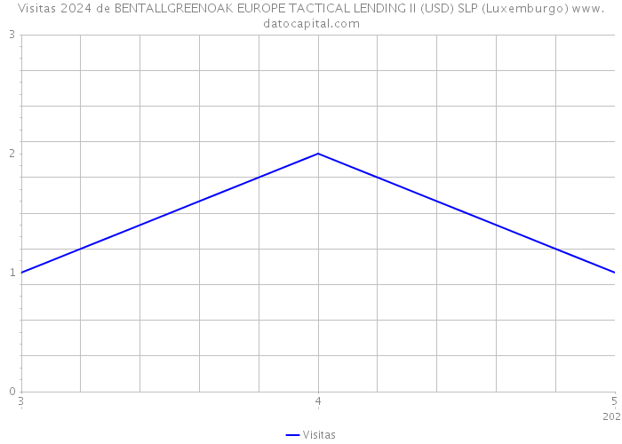 Visitas 2024 de BENTALLGREENOAK EUROPE TACTICAL LENDING II (USD) SLP (Luxemburgo) 