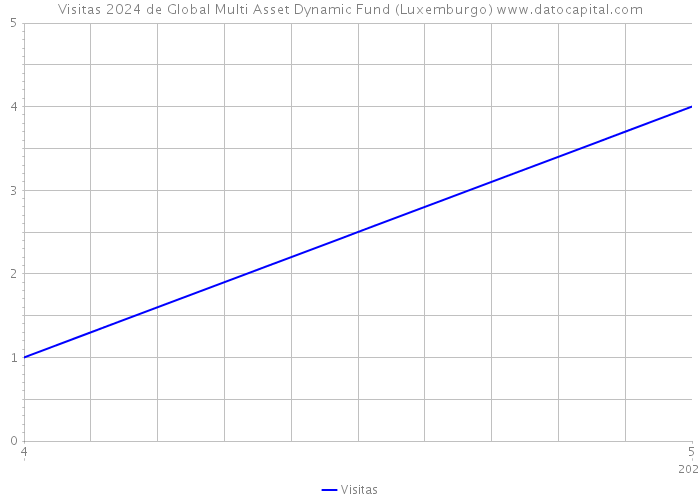 Visitas 2024 de Global Multi Asset Dynamic Fund (Luxemburgo) 