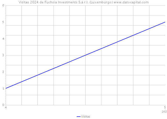Visitas 2024 de Fuchsia Investments S.à r.l. (Luxemburgo) 