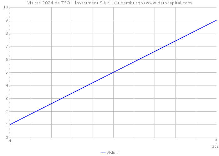 Visitas 2024 de TSO II Investment S.à r.l. (Luxemburgo) 
