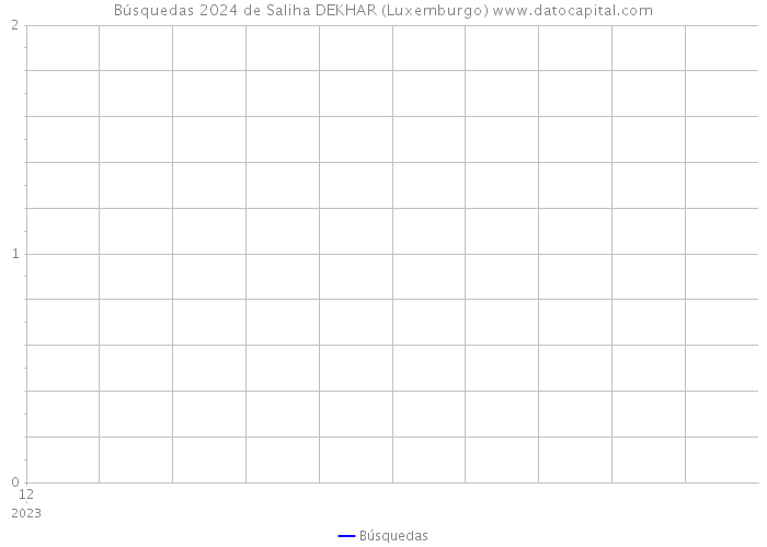 Búsquedas 2024 de Saliha DEKHAR (Luxemburgo) 