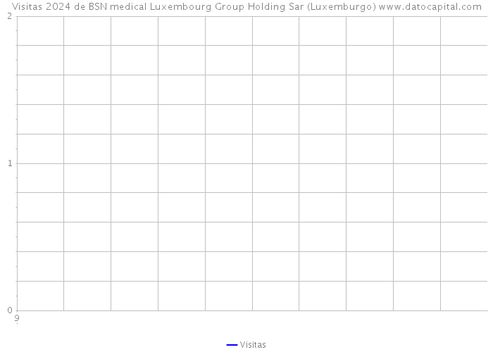 Visitas 2024 de BSN medical Luxembourg Group Holding Sar (Luxemburgo) 