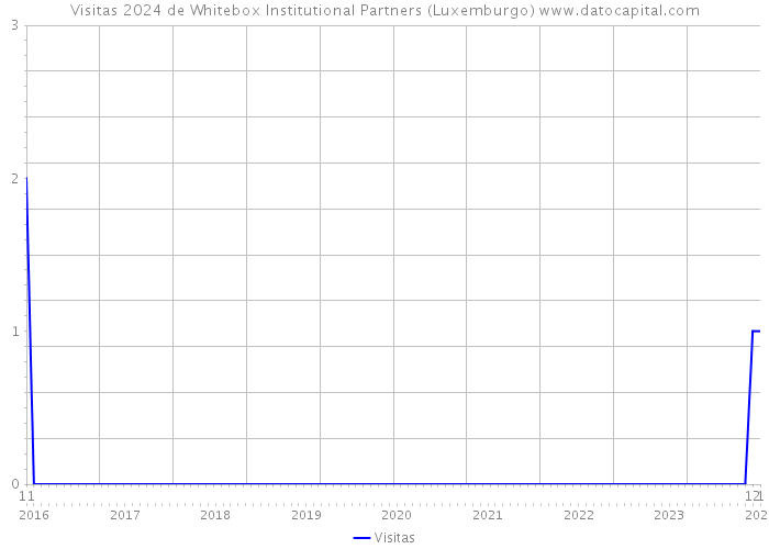 Visitas 2024 de Whitebox Institutional Partners (Luxemburgo) 