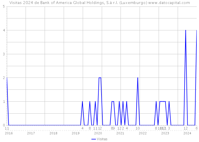Visitas 2024 de Bank of America Global Holdings, S.à r.l. (Luxemburgo) 