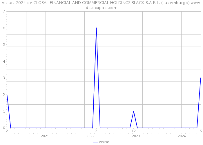 Visitas 2024 de GLOBAL FINANCIAL AND COMMERCIAL HOLDINGS BLACK S.A R.L. (Luxemburgo) 