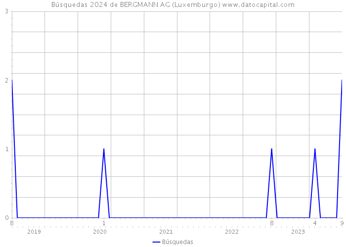 Búsquedas 2024 de BERGMANN AG (Luxemburgo) 