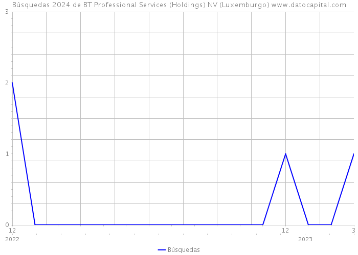 Búsquedas 2024 de BT Professional Services (Holdings) NV (Luxemburgo) 