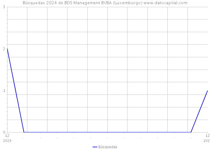 Búsquedas 2024 de BDS Management BVBA (Luxemburgo) 