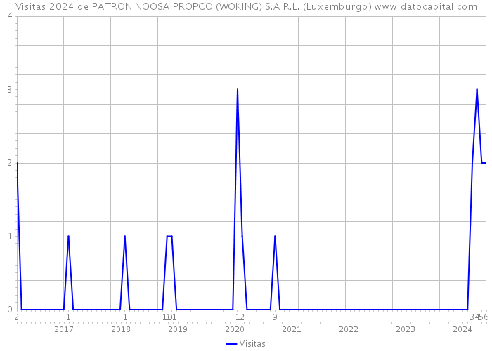 Visitas 2024 de PATRON NOOSA PROPCO (WOKING) S.A R.L. (Luxemburgo) 