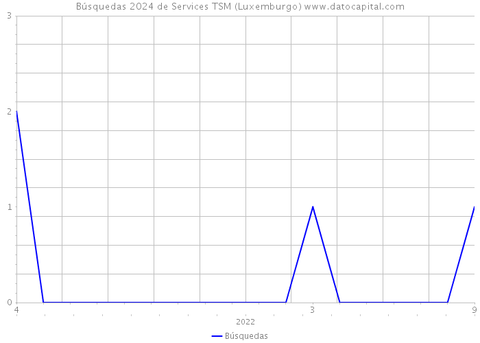 Búsquedas 2024 de Services TSM (Luxemburgo) 