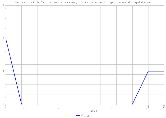 Visitas 2024 de Yellowwoods Treasury 2 S.à r.l. (Luxemburgo) 
