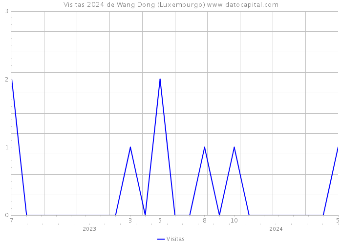 Visitas 2024 de Wang Dong (Luxemburgo) 