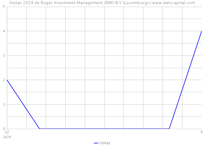 Visitas 2024 de Ruger Investment Management (RIM) B.V (Luxemburgo) 
