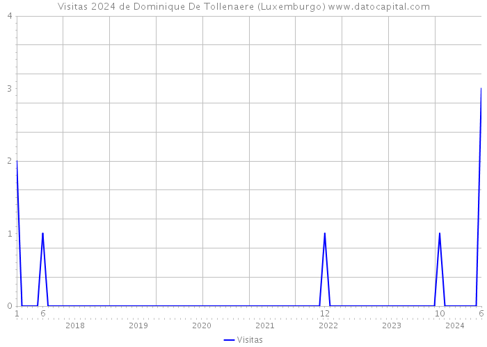 Visitas 2024 de Dominique De Tollenaere (Luxemburgo) 