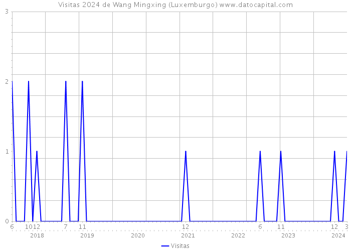 Visitas 2024 de Wang Mingxing (Luxemburgo) 