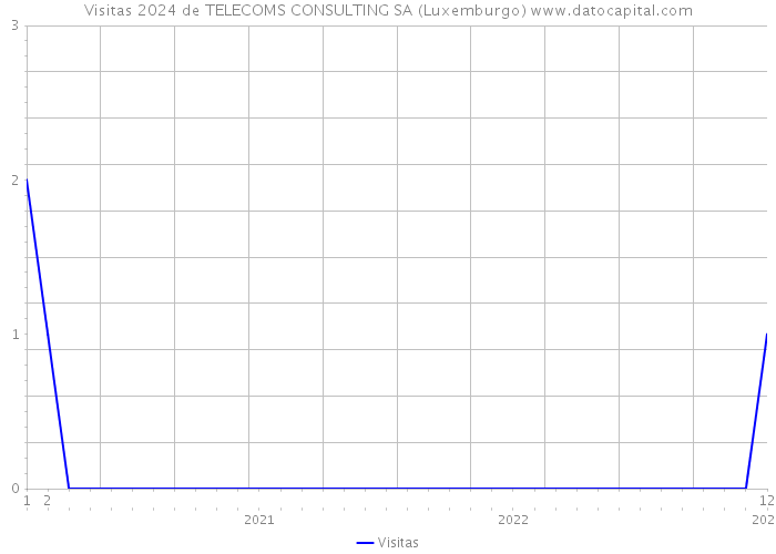 Visitas 2024 de TELECOMS CONSULTING SA (Luxemburgo) 