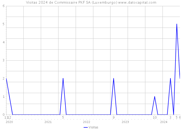Visitas 2024 de Commissaire PKF SA (Luxemburgo) 