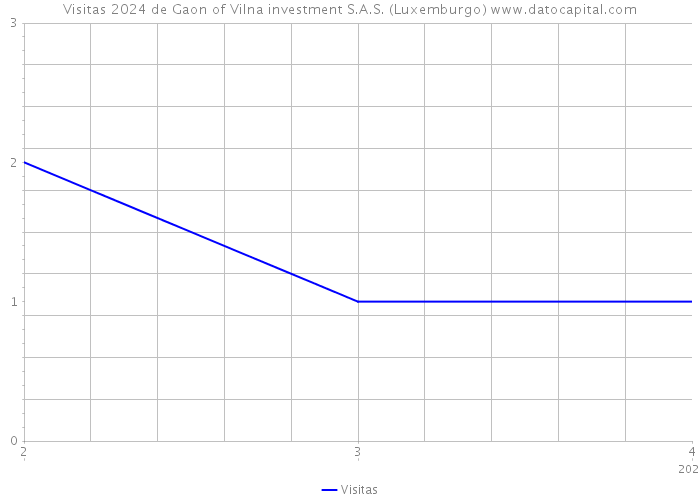 Visitas 2024 de Gaon of Vilna investment S.A.S. (Luxemburgo) 