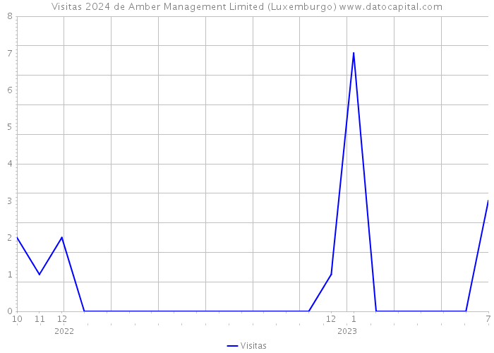 Visitas 2024 de Amber Management Limited (Luxemburgo) 