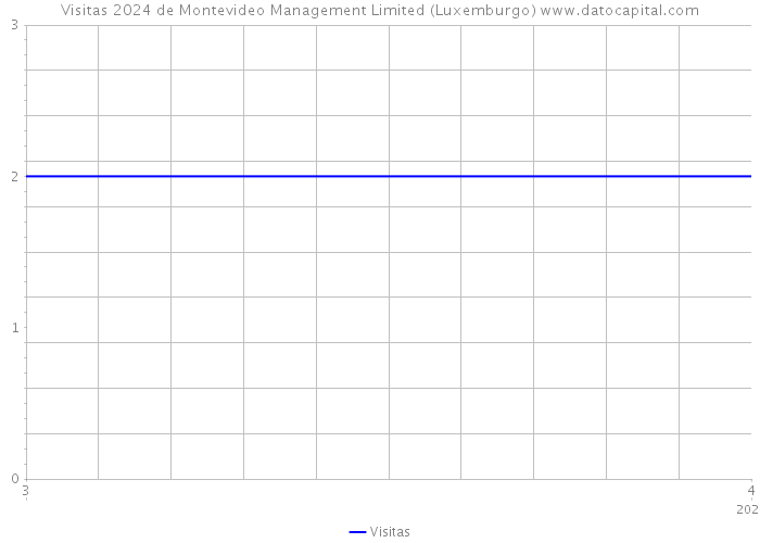 Visitas 2024 de Montevideo Management Limited (Luxemburgo) 