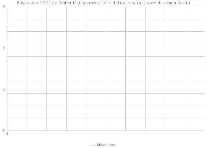 Búsquedas 2024 de Amber Management Limited (Luxemburgo) 
