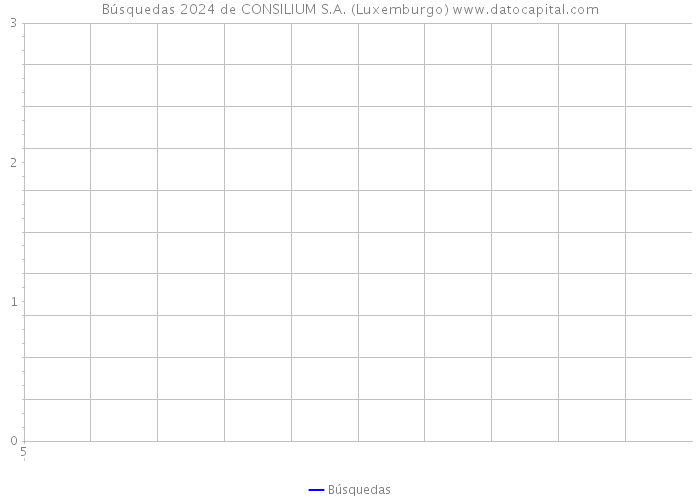 Búsquedas 2024 de CONSILIUM S.A. (Luxemburgo) 