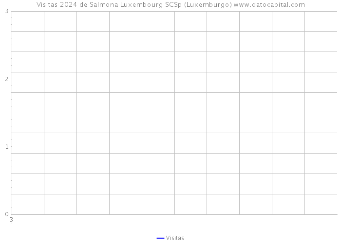 Visitas 2024 de Salmona Luxembourg SCSp (Luxemburgo) 