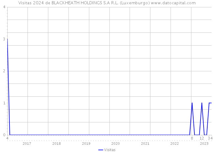 Visitas 2024 de BLACKHEATH HOLDINGS S.A R.L. (Luxemburgo) 