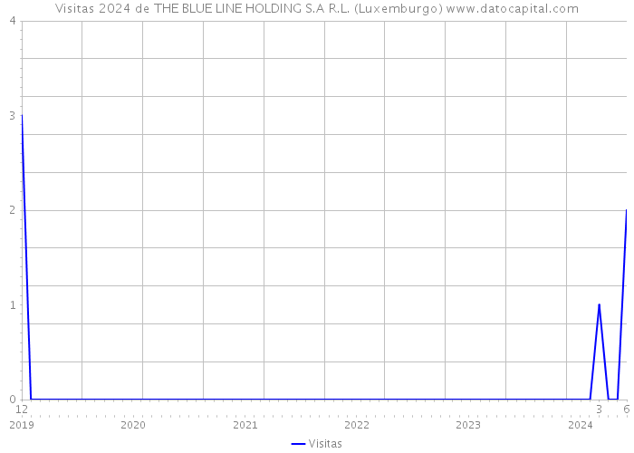 Visitas 2024 de THE BLUE LINE HOLDING S.A R.L. (Luxemburgo) 