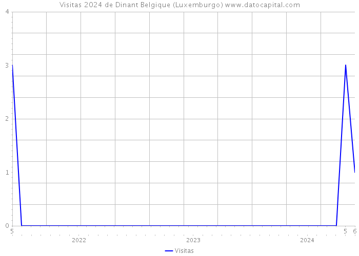Visitas 2024 de Dinant Belgique (Luxemburgo) 