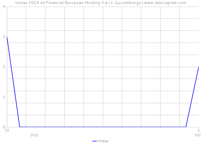 Visitas 2024 de Financial European Holding S.à r.l. (Luxemburgo) 