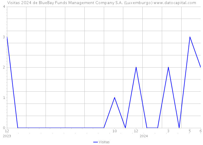 Visitas 2024 de BlueBay Funds Management Company S.A. (Luxemburgo) 