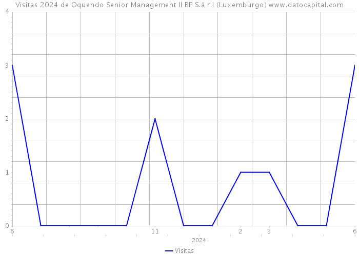 Visitas 2024 de Oquendo Senior Management II BP S.à r.l (Luxemburgo) 