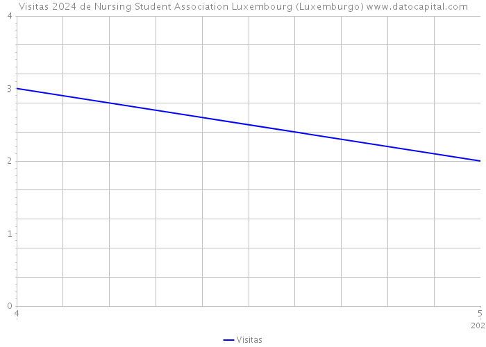Visitas 2024 de Nursing Student Association Luxembourg (Luxemburgo) 