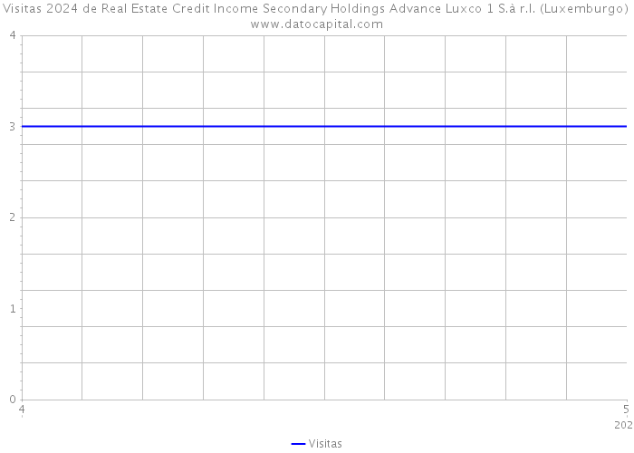 Visitas 2024 de Real Estate Credit Income Secondary Holdings Advance Luxco 1 S.à r.l. (Luxemburgo) 