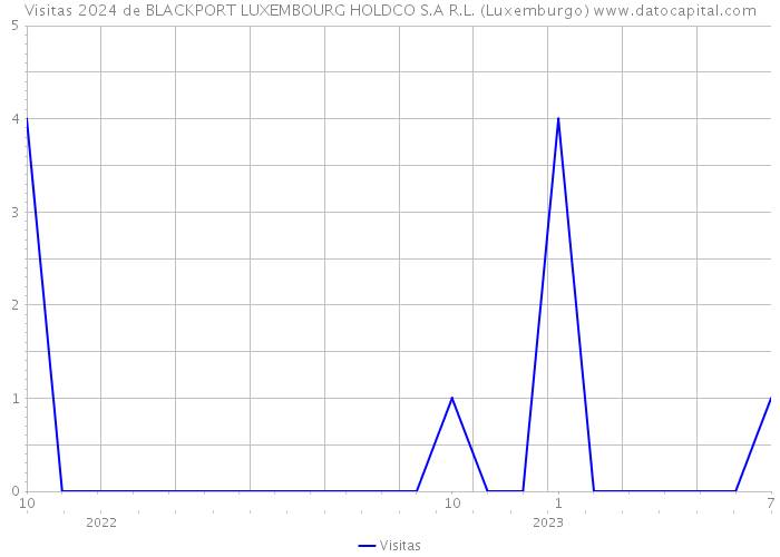 Visitas 2024 de BLACKPORT LUXEMBOURG HOLDCO S.A R.L. (Luxemburgo) 