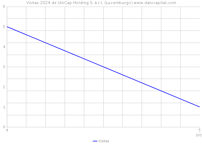 Visitas 2024 de UniCap Holding S. à r.l. (Luxemburgo) 
