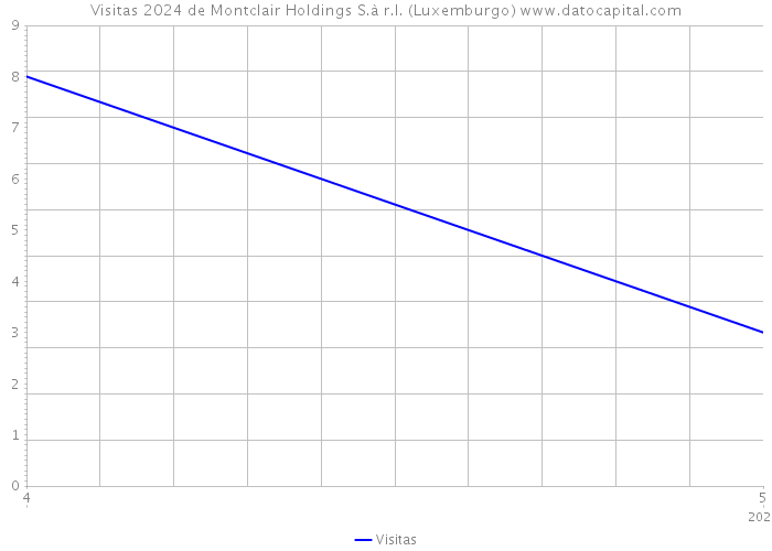 Visitas 2024 de Montclair Holdings S.à r.l. (Luxemburgo) 