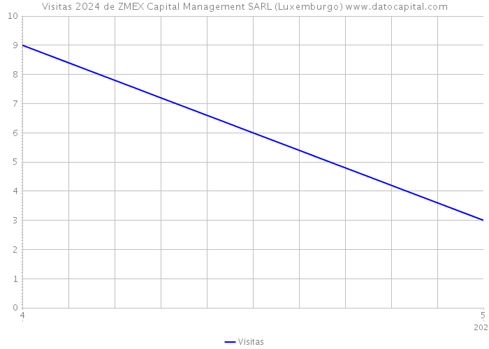 Visitas 2024 de ZMEX Capital Management SARL (Luxemburgo) 