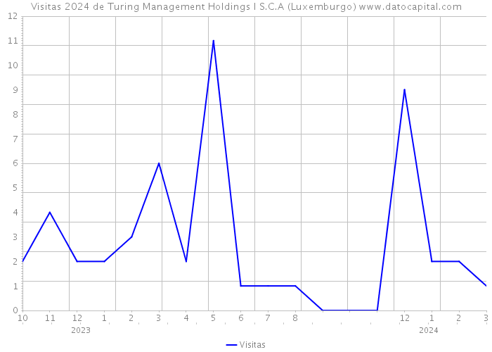 Visitas 2024 de Turing Management Holdings I S.C.A (Luxemburgo) 