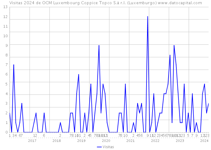 Visitas 2024 de OCM Luxembourg Coppice Topco S.à r.l. (Luxemburgo) 
