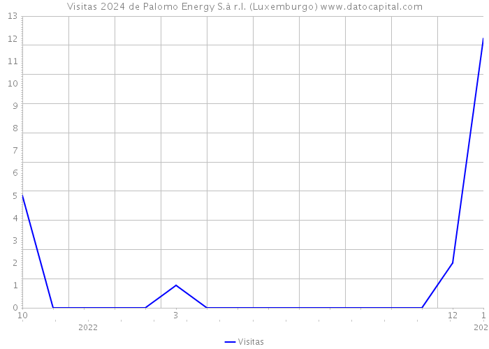Visitas 2024 de Palomo Energy S.à r.l. (Luxemburgo) 