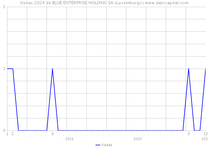 Visitas 2024 de BLUE ENTERPRISE HOLDING SA (Luxemburgo) 