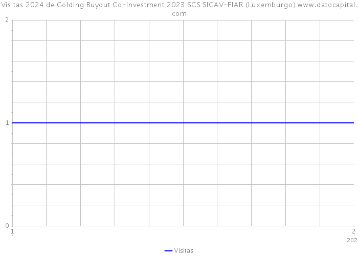 Visitas 2024 de Golding Buyout Co-Investment 2023 SCS SICAV-FIAR (Luxemburgo) 