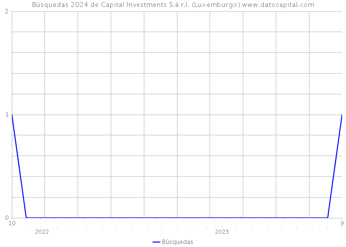 Búsquedas 2024 de Capital Investments S.à r.l. (Luxemburgo) 
