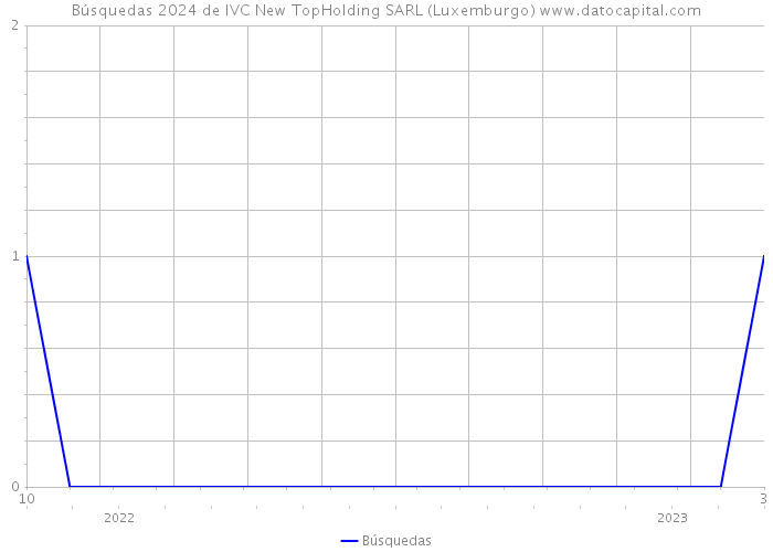 Búsquedas 2024 de IVC New TopHolding SARL (Luxemburgo) 