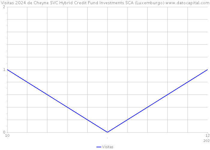 Visitas 2024 de Cheyne SVC Hybrid Credit Fund Investments SCA (Luxemburgo) 